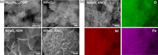 image of publicaiton  Tailoring NiFeOx nanostructures with molten salts synthesis for non-enzymatic electrochemical sensing of dopamine