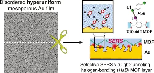 image of publicaiton Hyperuniform Mesoporous Gold Films Coated with Halogen-Bonding Metal–Organic Frameworks for Selective Raman Sensing of Chlorinated Hydrocarbons