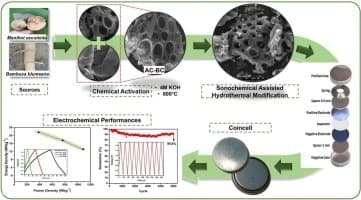 image of publicaiton 3D-porous activated carbon morphological modification of Manihot esculenta tuber and Bambusa blumeana stem for high-power density supercapacitor: Biomass waste to sustainable energy